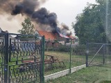 Pożar stodoły w Grodkowie. W akcji osiem zastępów straży pożarnych. Trwa ustalanie przyczyn zdarzenia