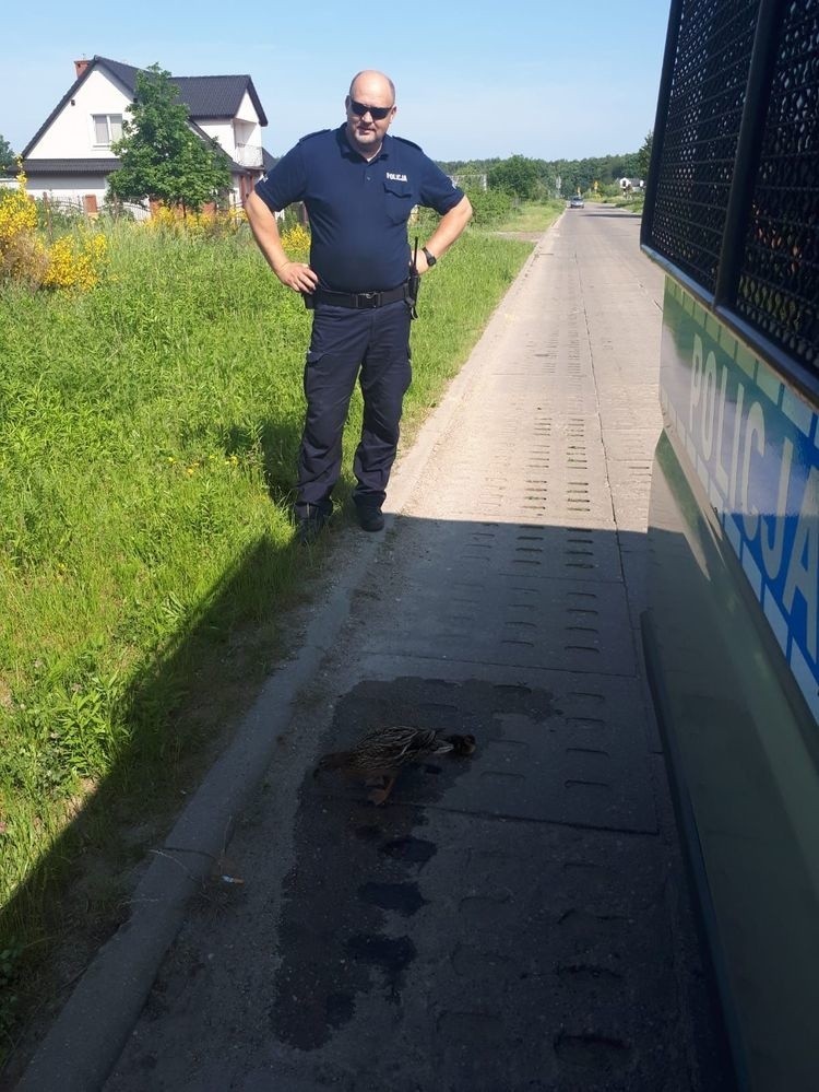 Szczęśliwie zakończyła się interwencja policjantów i...