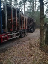 Zapaliła się ciężarówka z drewnym między Bożanką a Dretyniem [zdjęcia]