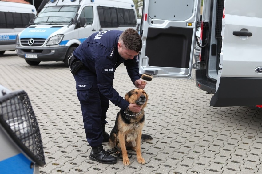 Ford Transit został wykonany zgodnie ze wskazówkami...