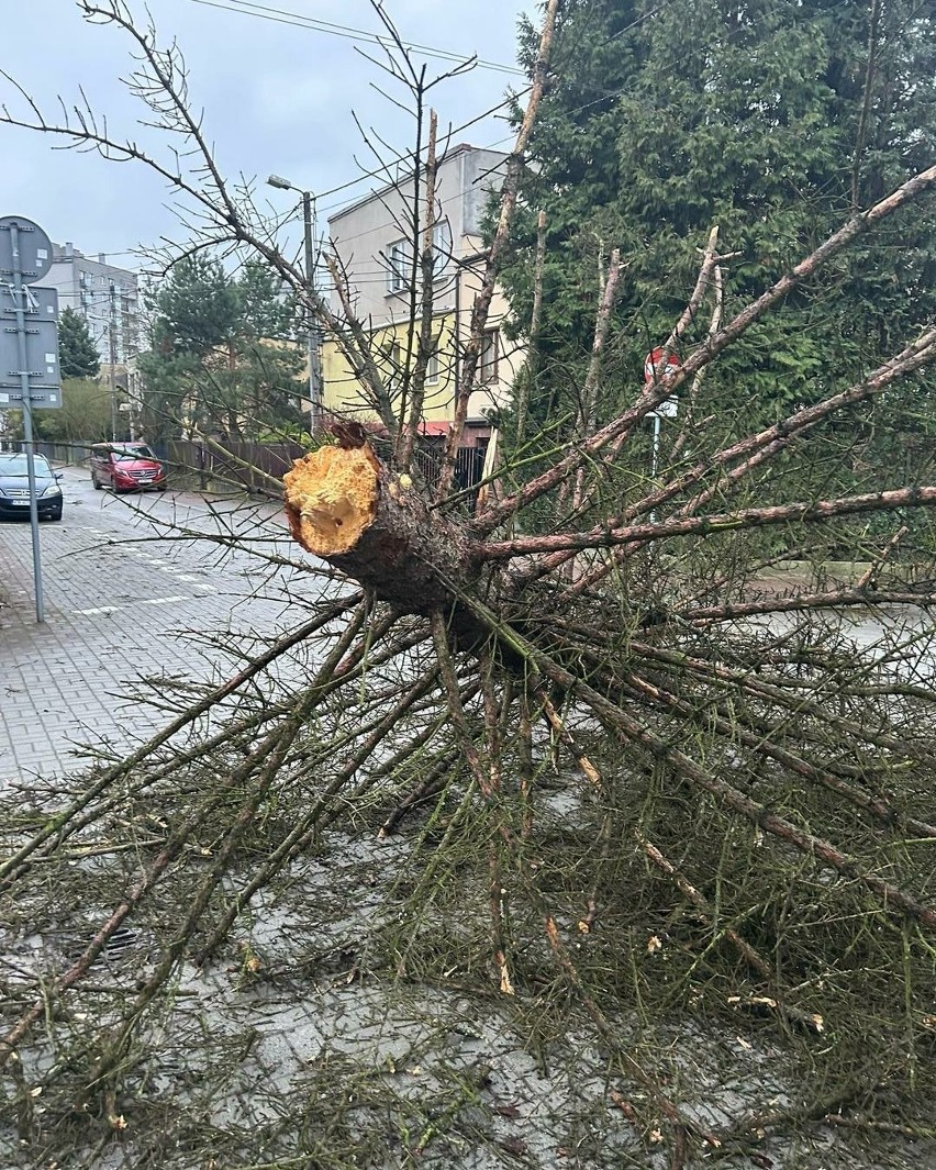 Kraków - Olsza. Powalone drzewo na osiedlu służby docierają...