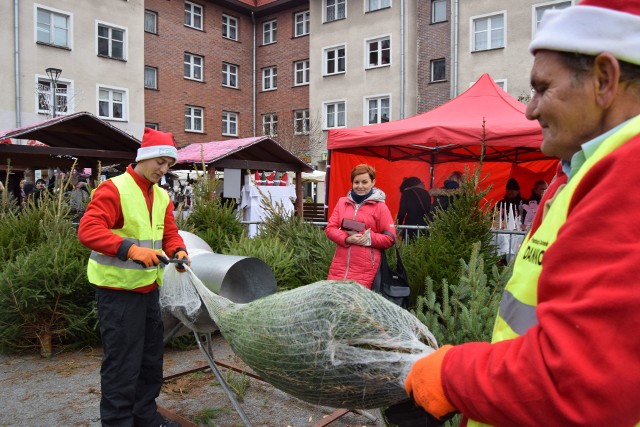 Na jarmarku można też oczywiście kupić choinkę