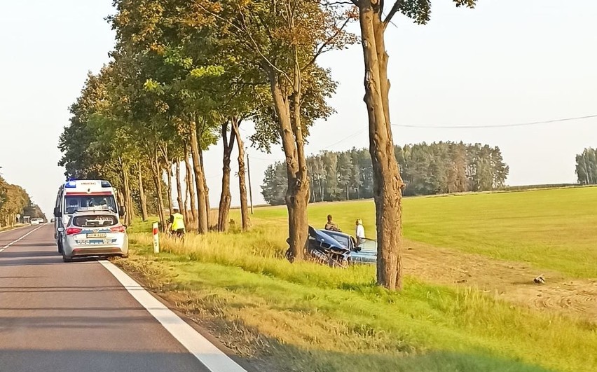 Wypadek na DK 8. BMW wbiło się w drzewo (zdjęcia)