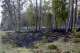 Pożar w lesie około Łebienia [ZDJĘCIA]                       