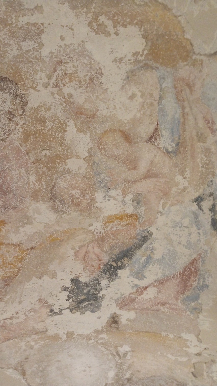 300-letnie freski odkryte u kapucynów w Krakowie