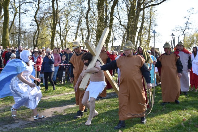 To już tradycja, że w przededniu  Wielkanocy przy kaplicy pw. Matki Bożej Częstochowskiej w Witosławiu, tuż obok pięknego jeziora,   uczestniczyć można w Misterium Męki Pańskiej.  W tym roku plenerowe widowisko przygotowane zostało po raz czwarty. - Za rok jubileusz. Już mamy pomysły jak go uczcimy - informował wiernych ks.  Tomasz Kapczyński, proboszcz z Orla. Ale zaprezentowane tej wiosny  widowisko, choć jeszcze   nie jubileuszowe, także zachwyciło widzów. Zwłaszcza tych,  którzy po raz pierwszy przyjechali je obejrzeć.  W przygotowanie inscenizacji zaangażowało się wielu parafian, także dzieci. Przyjechali też księża z innych parafii - ks. dr Jan Pomin z Wierzchucina Królewskiego i  ks. Krzysztof Panasiuk z Bydgoszczy.   Po zakończeniu misterium burmistrz Leszek Klesiński i starosta Tadeusz Sobol złożyli wszystkim świąteczne życzenia. 