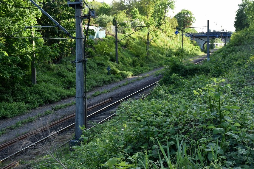 Prace na Szczecińskiej Kolei Metropolitalnej idą zgodnie z planem. Co dzieje się na placu budowy? [ZDJĘCIA]