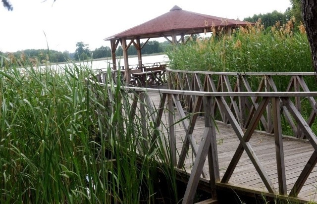 Zobacz, jak pięknie jest w Lubięcinie nad jeziorem Kochanowo. Kliknij w przycisk "zobacz galerię" i przesuwaj zdjęcia w prawo - naciśnij strzałkę lub przycisk NASTĘPNE