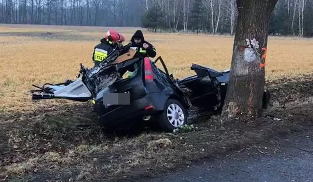 Na tym drzewie przeznaczonym do wycinki zginęły dwie osoby.