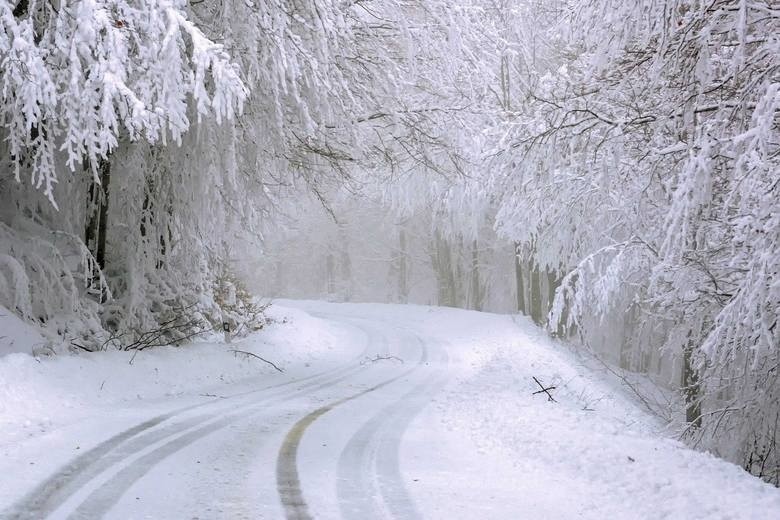 Intensywne opady śniegu w całym województwie świętokrzyskim. Drogi białe i śliskie! Oto raport na bieżąco