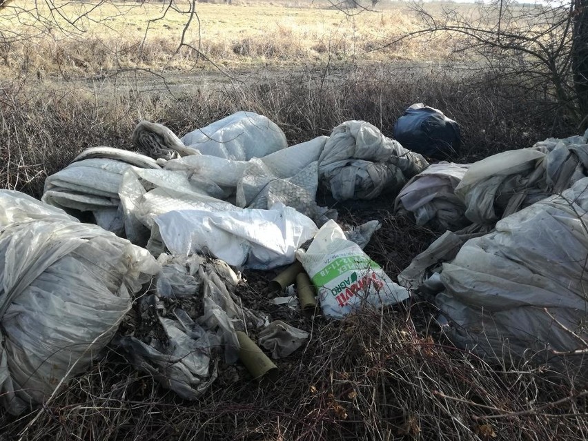 Dzikie wysypisko śmieci nad Wisłą w Nowym Brzesku