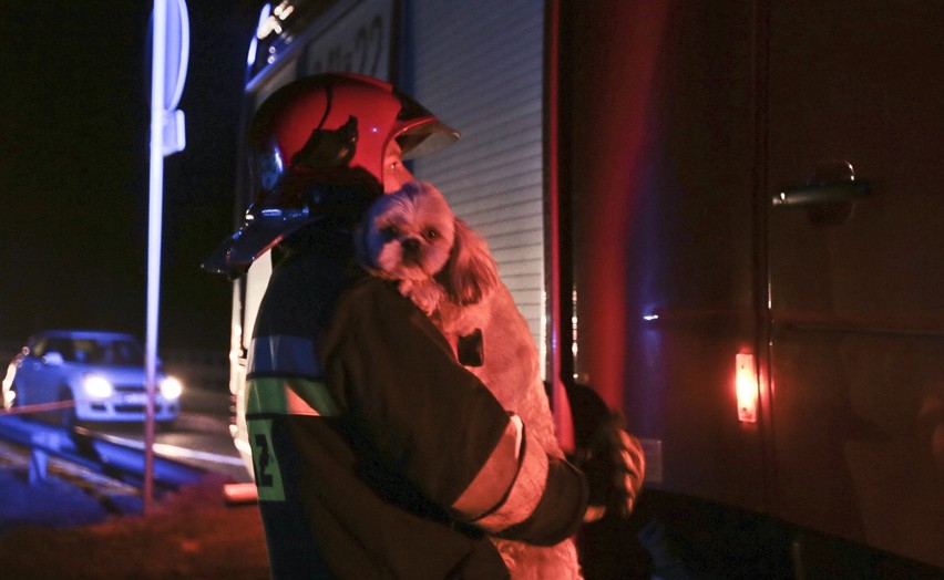 Do tragedii doszło w niedzielę, 7 lutego po godz. 19.00. Z...