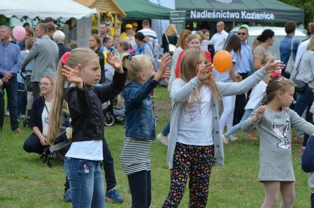 W najbliższą niedzielę, 6 września odbędzie się kolejna edycja Festynu "Dla życia i rodziny" w Pionkach.