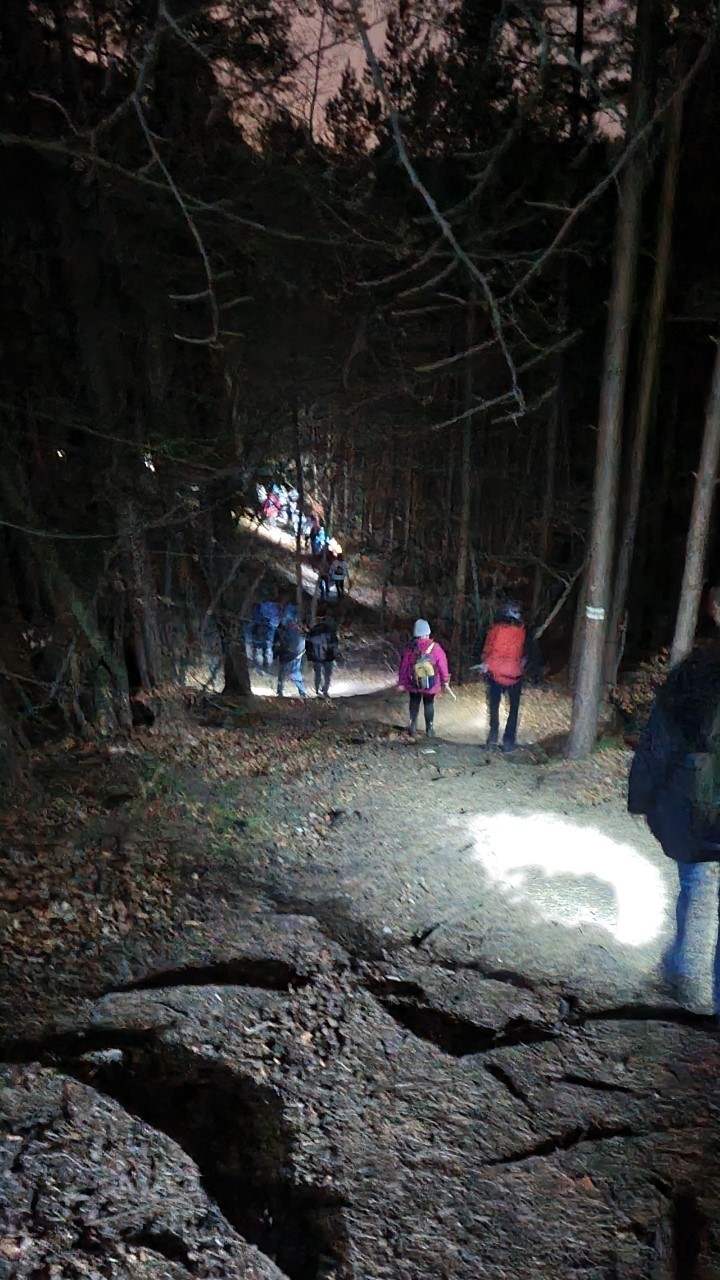 Wierni idący w Nocnej Drodze Krzyżowej natknęli się w lesie na... imprezę. Kilkadziesiąt osób bawiło się przy ogniskach