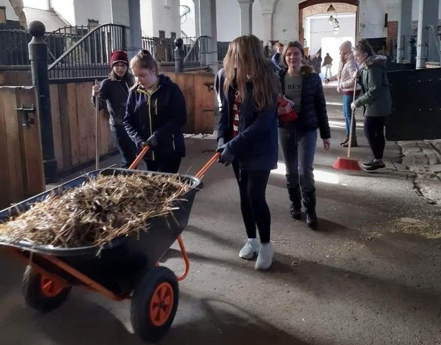 Prace na kozielskiej Wyspie.