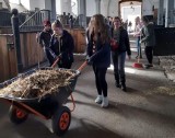 Kędzierzyn-Koźle. Niecodzienna lekcja uczniów ogólniaka. Porządkowali kozielską Wyspę 