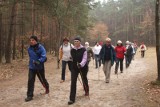Nordic Walking - spacer z kijkami