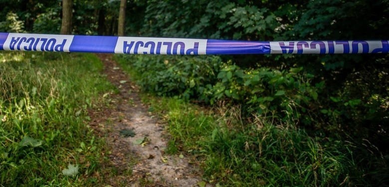 Groźne znalezisko w lesie w okolicy Rogowa w powiecie koneckim. Znaleziono ponad 130 pocisków z czasów II wojny