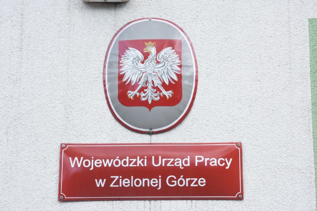 Dziś publikujemy kolejny odcinek Lubuskiej Listy Płac. Tym razem przedstawiamy zarobki pracownik&oacute;w zatrudnionych przez Wojew&oacute;dzki Urząd Pracy w Zielonej G&oacute;rze. Dowiecie się m.in., ile w urzędzie zarabia sprzątaczka, ile inspektor czy naczelnik, a także jaką pensję ma dyrektor. Wynagrodzenia dla poszczeg&oacute;lnych stanowisk podajemy brutto. Przejdź do GALERII&gt;&gt;Zobacz też: Co sądzą mieszkańcy Zielonej G&oacute;ry o planowanym zwiększeniu minimalnego wynagrodzenia nawet do 4 tys. zł?&lt;script async defer class=&quot;XlinkEmbedScript&quot;  data-width=&quot;640&quot; data-height=&quot;360&quot; data-url=&quot;//get.x-link.pl/959b6d01-d244-e639-8043-e3188a3a1448,df98e2e9-e094-0950-3791-f2635726acd9,embed.html&quot; type=&quot;application/javascript&quot; src=&quot;//prodxnews1blob.blob.core.windows.net/cdn/js/xlink-i.js?v1&quot; &gt;&lt;/script&gt;