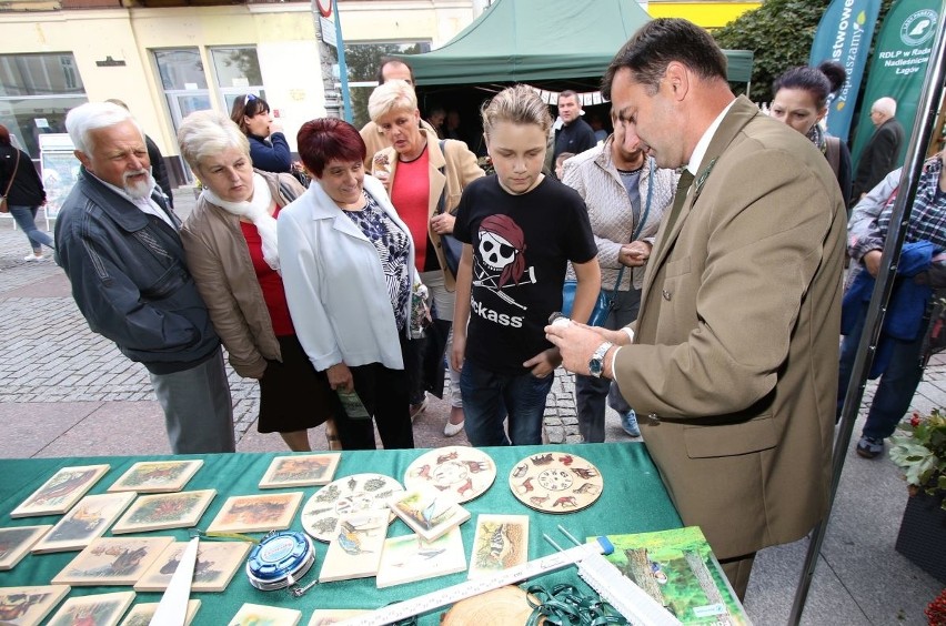 Skarbylasów w centrum Kielc. Kapuśniak od Grzegorza Russaka (WIDEO, ZDJĘCIA)