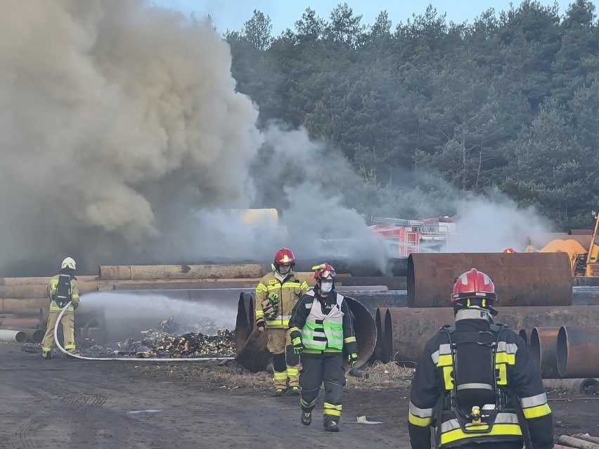 Niestety, choćbyśmy bardzo chcieli, choroby, wypadki czy...