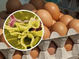 Salmonella nie tylko w jajkach. Gdzie czai się salmonella? Będziecie zaskoczeni! [lista]