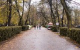 Pogoda na początek grudnia. Zima odejdzie na dobre? W najbliższych dniach zrobi się cieplej