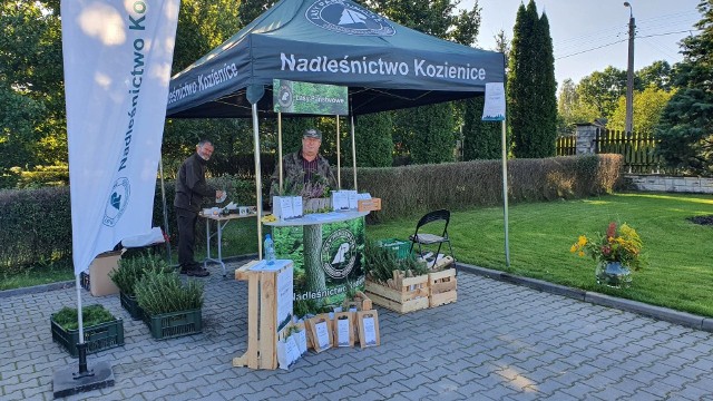 W nadleśnictwach całego regionu radomskiego odbyła się akcja 'sadziMy Las". Leśnicy za darmo rozdawali sadzonki drzew. Było duże zainteresowanie wśród mieszkańców powiatu kozienickiego.