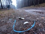 Plastikowa droga w lesie - kto użył zanieczyszczonego gruzu 