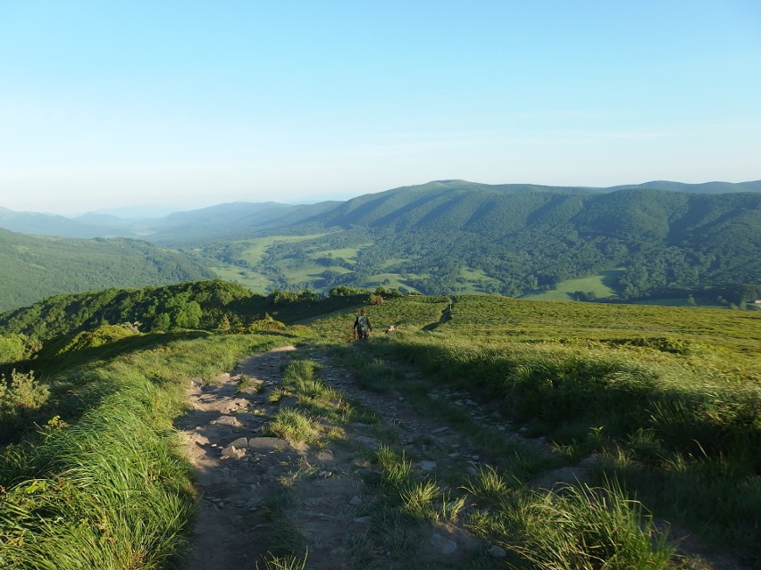 Użytkownicy Google Maps zdecydowali: wybrano 15 najlepszych...