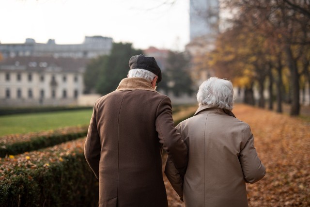 Seniorzy mogą korzystać ze zniżek na komunikację miejską, bezpłatnych leków czy zwolnienia z opłat abonamentowych. Co więcej, przysługują im 13. i 14. emerytury oraz emerytury honorowe.