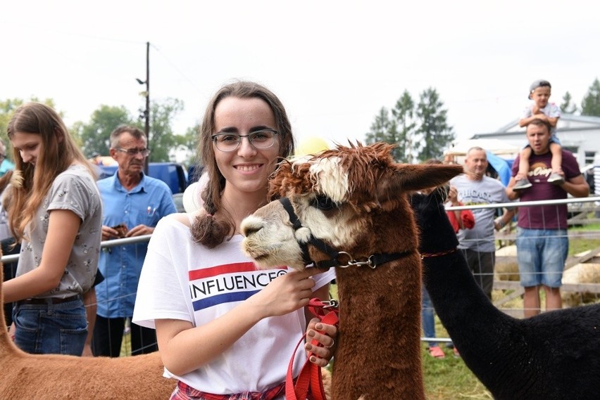 Agropromocja 2018. Setki wystawców i tysiące odwiedzających w Nawojowej [ZDJĘCIA]