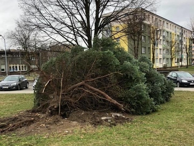 Wichura w woj. śląskim.