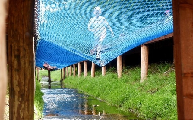 Siatka nad Gęśnikiem w Zielonej Górze to atrakcja tego miejsca