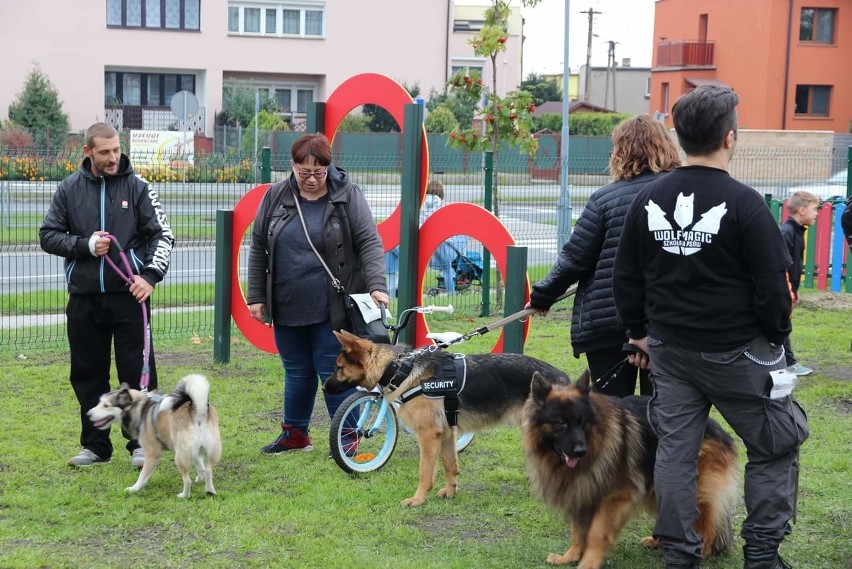 Miasto oficjalnie otworzyło psi park dla inowrocławskich...