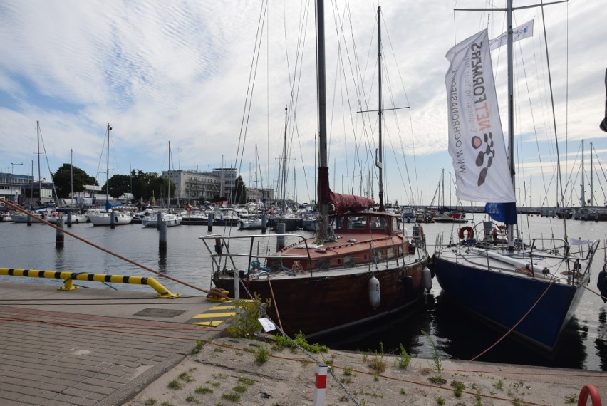 Gdynia: Drugi Seabin dotarł do mariny. Pomoże oczyszczać wodę z plastiku i śmieci [30.07.2021]