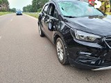 Wypadek na drodze Turośń Dolna - Bojary. Osobówka zderzyła się z łosiem. Ranną osobę zabrał śmigłowiec LPR [ZDJĘCIA]