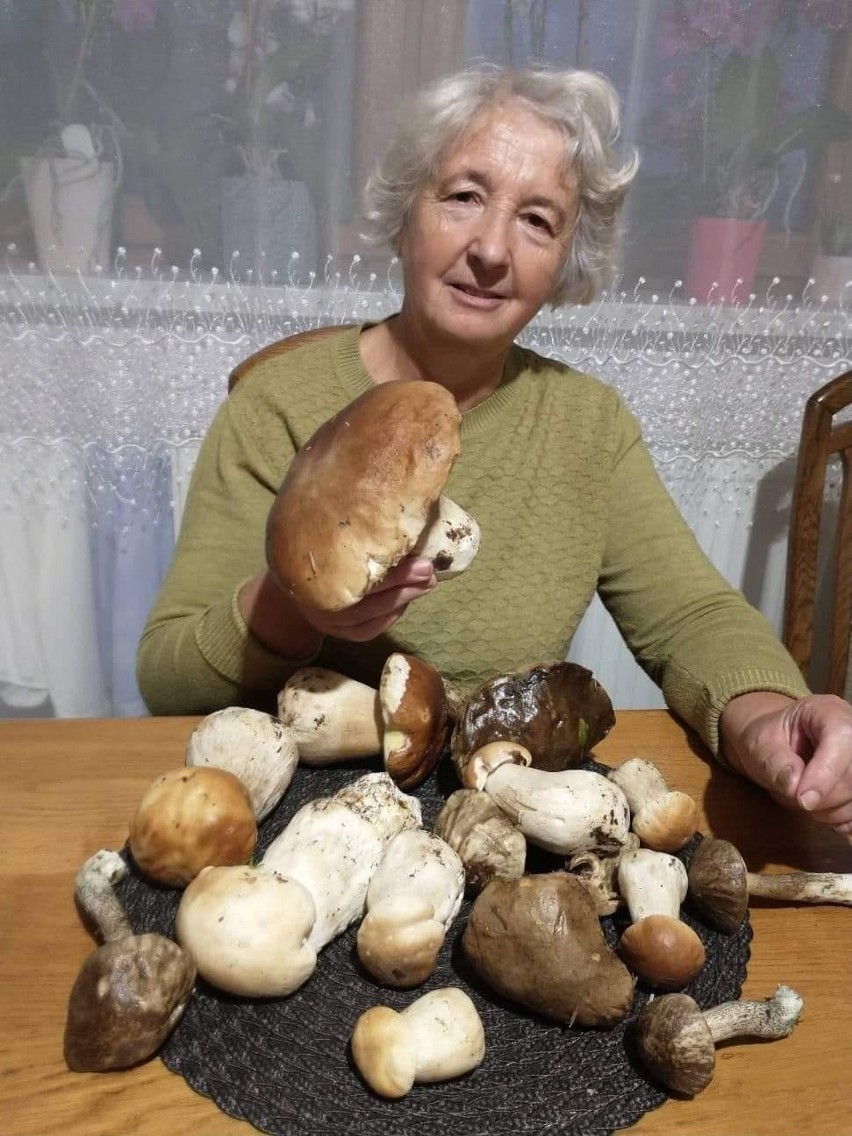 Pani Anna Cepil zebrała te piękne grzyby w lasach powiatu...