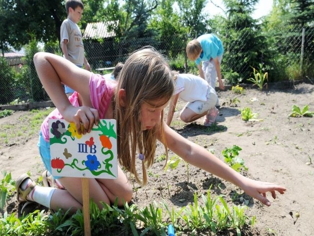 Monika Barzyk z klasy III b SP nr 7 bardzo lubi pielęgnować roślinki