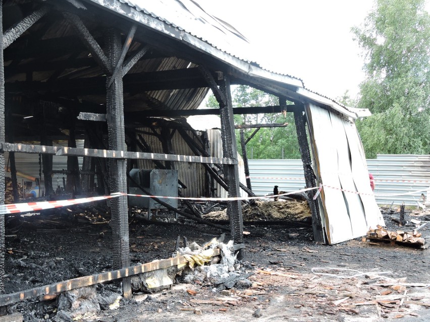 Łęg Starościński. Potężny pożar strawił tartak,  07.07.2019