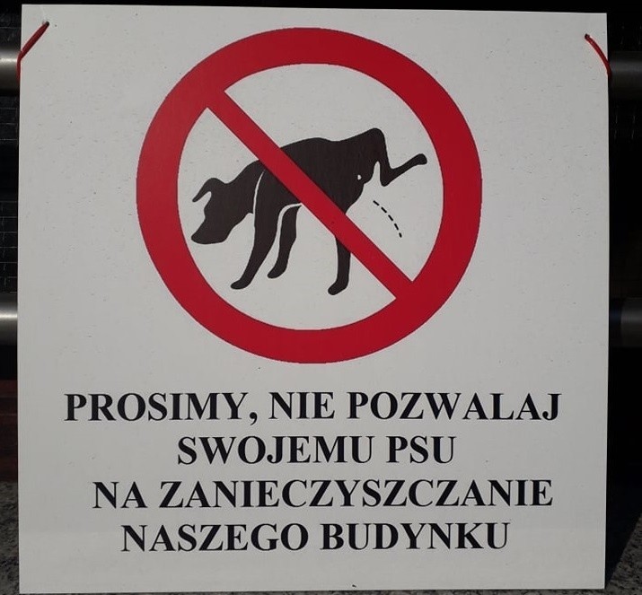 Zdarzają się właściciele psów, którym wcale nie przeszkadza,...