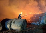 Gigantyczny pożar słomy i siana w Wojciechowie na Dolnym Śląsku. Strażacy walczyli z ogniem przez kilka godzin. Straty są ogromne!