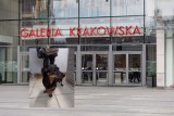 KTOZ chciał interweniować w Galerii Krakowskiej, ale pracownik ochrony się nie zgodził. Internauci oburzeni