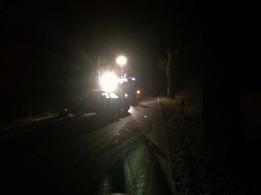 Wieczorny wypadek na terenie gminy Dolice. Samochód uderzył w drzewo