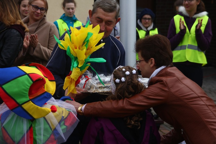 W Żorach zasadzili prawie 1000 żonkili, tworząc "Pole Nadziei" przy hospicjum