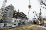 Trwają intensywne prace przy rozbudowie szpitala Biziela w Bydgoszczy. Zobacz raport z placu budowy [zdjęcia]