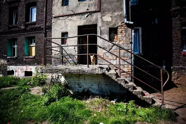 Codzienność w Lipinach. Zobacz kolejne zdjęcia/plansze. Przesuwaj zdjęcia w prawo - naciśnij strzałkę lub przycisk NASTĘPNE