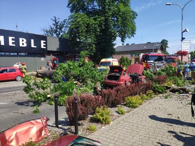 Wypadek w Żywcu. Drzewo runeło na przejeżdżający samochód. Pasażerki sa ranne.