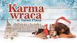 KARMA WRACA - akcja pomocy bezdomnym zwierzakom powraca!