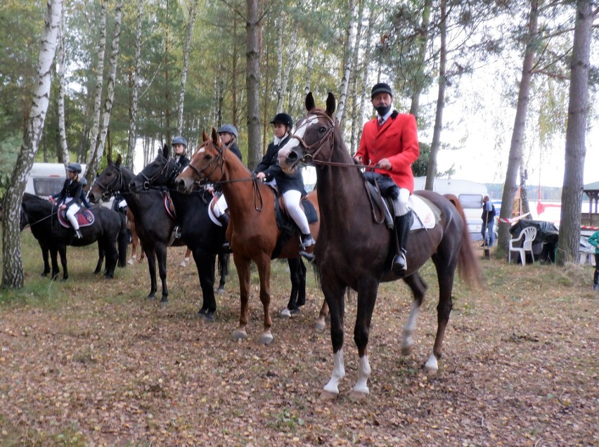 Hubertus przegalopował przez "Tazbirowo" nad Zalewem Koronowskim